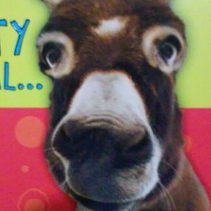 Meet your Posher, Jean pierre